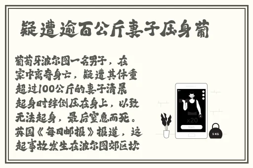 精品无码久久久久久久久