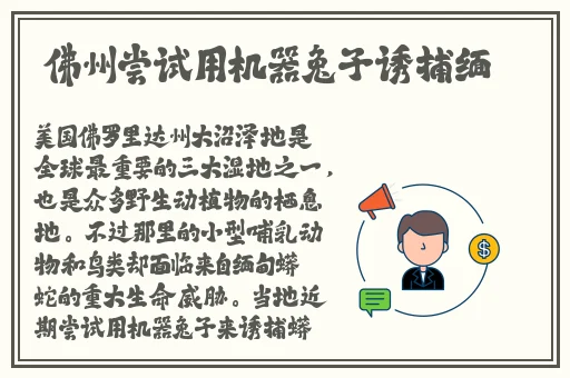 免费国精产品—品二品